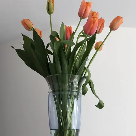 ホテル Corallo Circeo サン・フェリーチェ・チルチェーオ