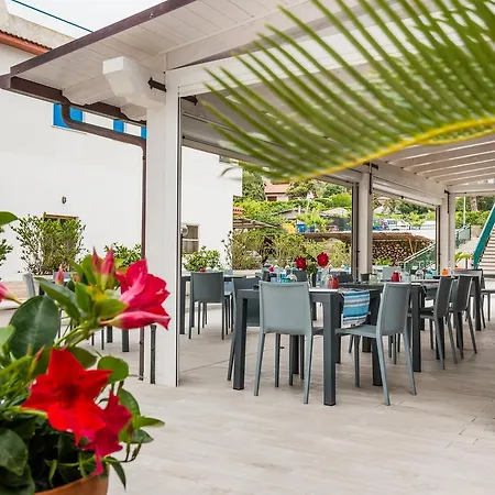 Corallo Circeo San Felice Circeo