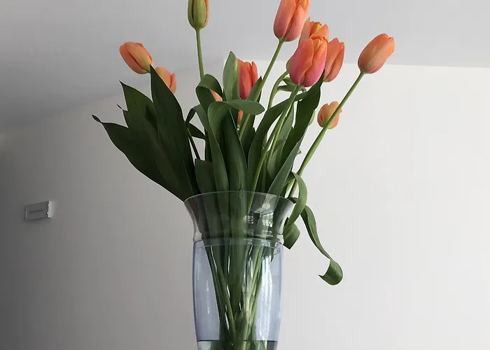 호텔 Corallo Circeo 산펠리체치르체오